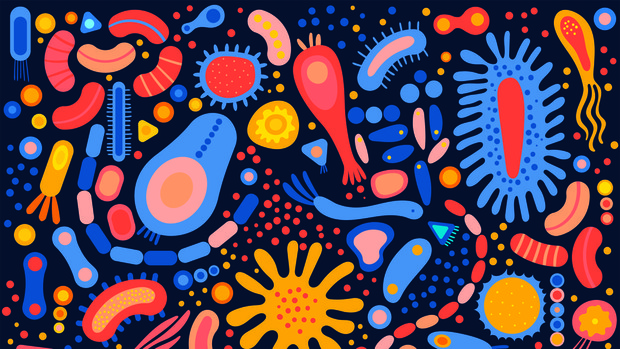 ¿Una altetración de la microbiota puede afectar la función tiroidea?